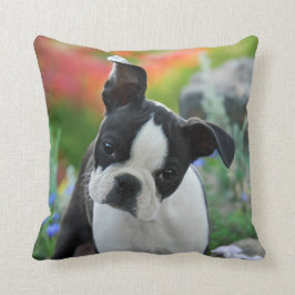 Cojín Decorativo Retrato lindo del perrito del perro de Boston