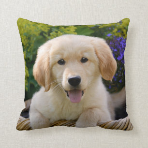 Cojín Decorativo Retrato lindo encantador del perrito de Goldie,
