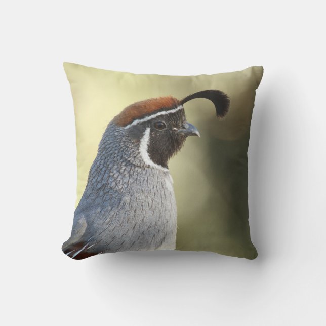 Cojín Decorativo Retrato masculino de codorniz (Anverso)