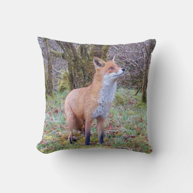 Cojín Decorativo Reversible Red Fox (Anverso)