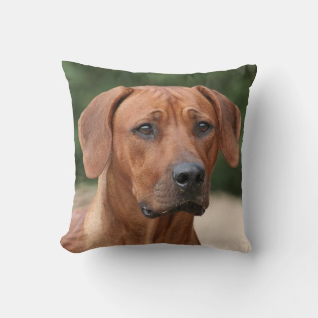 Cojín Decorativo Rhodesian Ridgeback kussen (Anverso)
