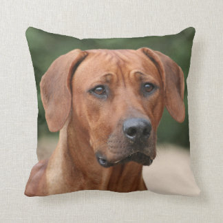 Cojín Decorativo Rhodesian Ridgeback kussen