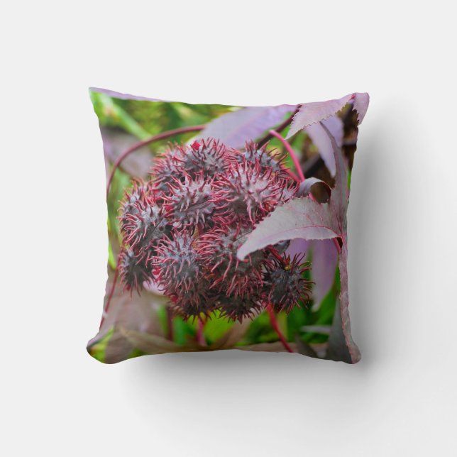 Cojín Decorativo Ricinus communis Throw Cushion (Anverso)