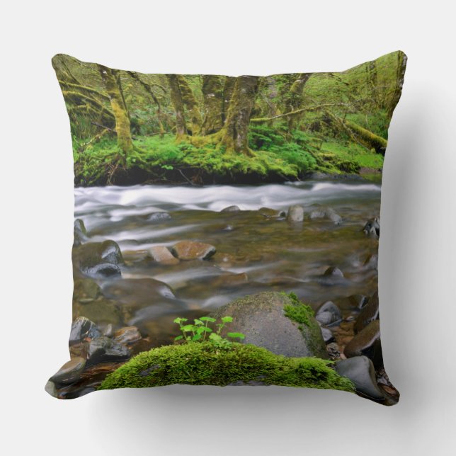 Cojín Decorativo Río en bosque verde, Oregon (Anverso)