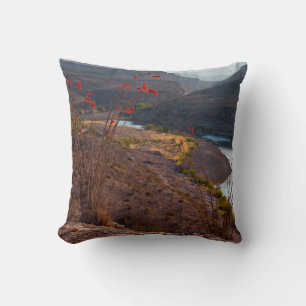 Cojín Decorativo Río Grande atravesando el desierto de Chihuahuan
