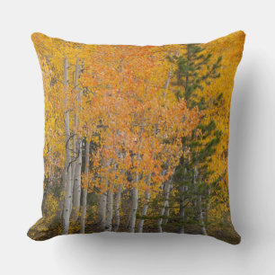 Cojín Decorativo Río Provo y árboles de álamo temblón
