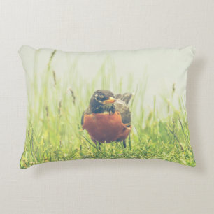 Cojín Decorativo Robin Bird
