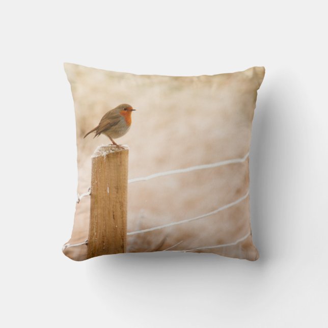 Cojín Decorativo Robin Redmama (Anverso)