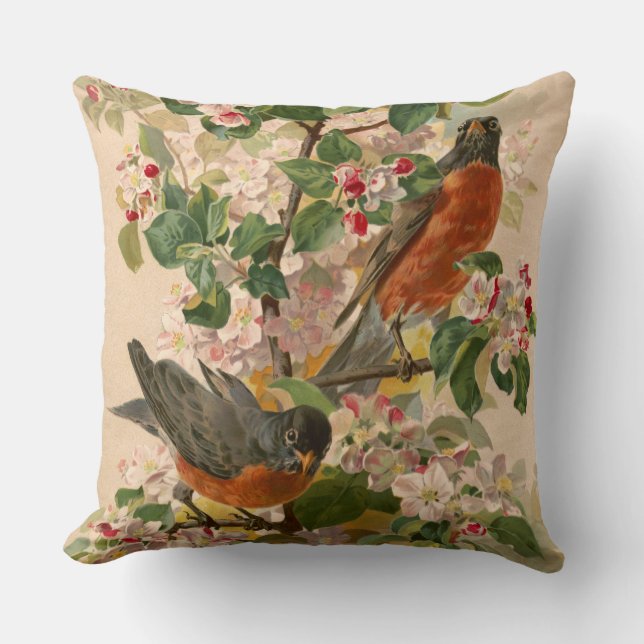 Cojín Decorativo Robins 1896 (Anverso)