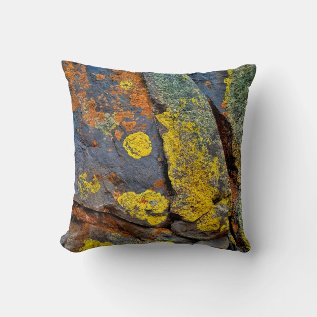 Cojín Decorativo Rocas cubiertas de licina (Anverso)