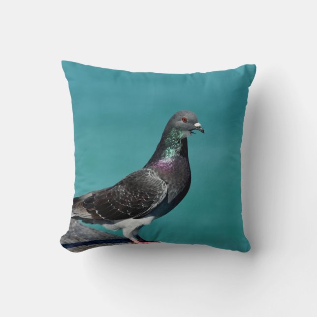 Cojín Decorativo Rock Pigeon (Anverso)