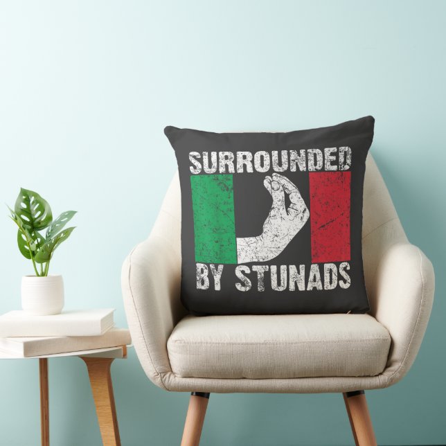 Cojín Decorativo Rodeado de Stunads (Silla)