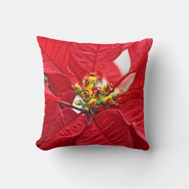 Cojín Decorativo Rojo alegre (Anverso)