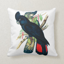 Cojín Decorativo Rojo atado, Cockatoos. negros (de Banksian)