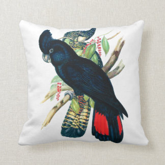 Cojín Decorativo Rojo atado, Cockatoos. negros (de Banksian)