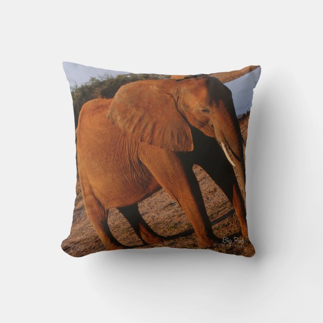 Cojín Decorativo Rojo grande (Anverso)