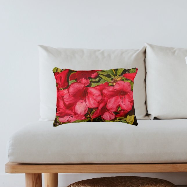 Cojín Decorativo Rojo Rododendrón Blooms Floral (In Situ Sofa)