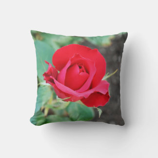 Cojín Decorativo Rojo Rosa