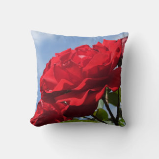Cojín Decorativo Rosa