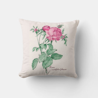 Cojín Decorativo Rosa Centifolia Foliacea