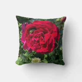 Cojín Decorativo Rosa de jardín rojo y insecto