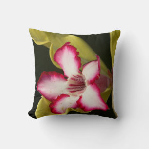 Cojín Decorativo Rosa del Desierto (Adenium Obesum), Sudáfrica
