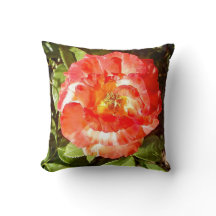 Rosa del día soleado.........