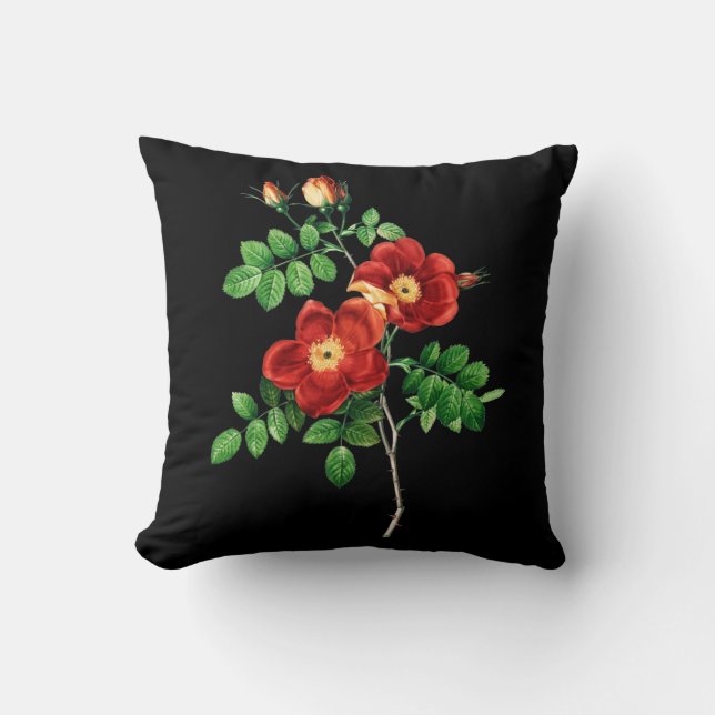 Cojín Decorativo Rosa Eglanteria (Anverso)