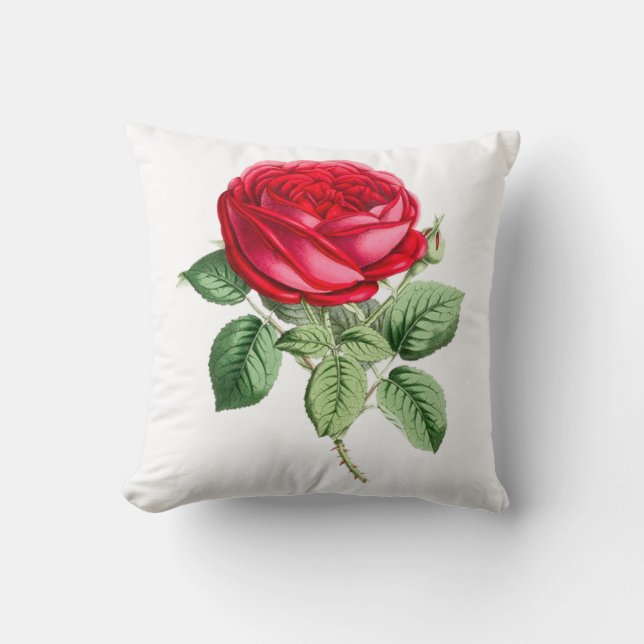 Cojín Decorativo Rosa roja antigua simple (Anverso)