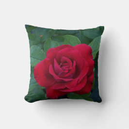 Cojín Decorativo Rosa Roja de Cerca