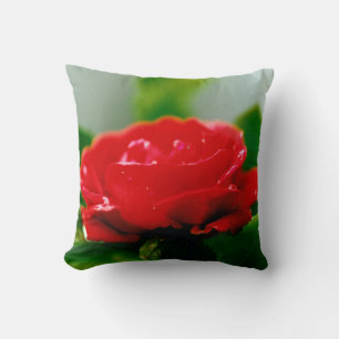 Cojín Decorativo Rosa Roja de la pasión cubierta de rocío