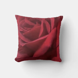 Cojín Decorativo Rosa roja keniana