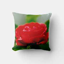 Cojín Decorativo Rosa roja matutina cubierta de rocío