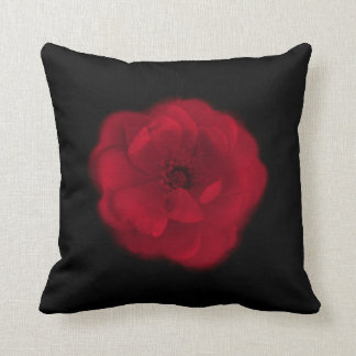 Cojín Decorativo Rosa rojo. Fondo negro