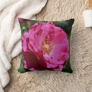 Cojín Decorativo Rosa rosa en plena floración en primer plano