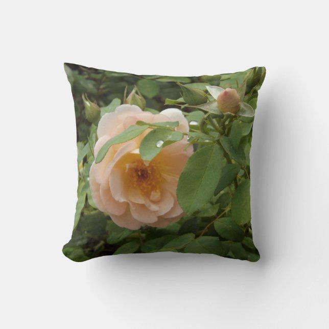 Cojín Decorativo Rosa rosa pálido (Anverso)