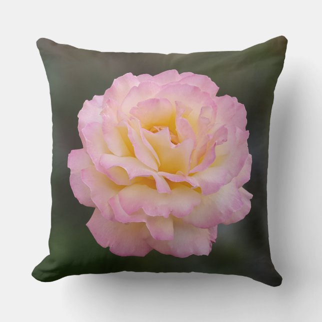 Cojín Decorativo rosa rosa rosa rosa (Anverso)
