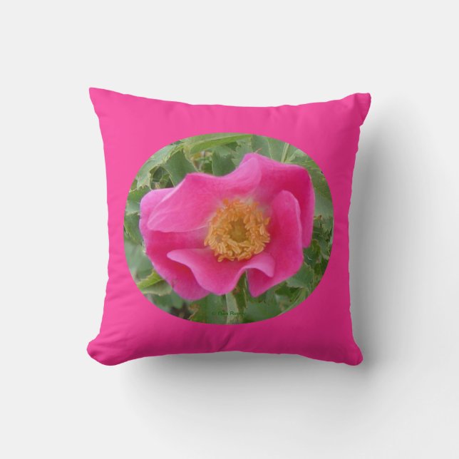 Cojín Decorativo Rosa silvestre F23aw (Anverso)