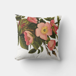 Cojín Decorativo Rosas de época bello botánico rosado