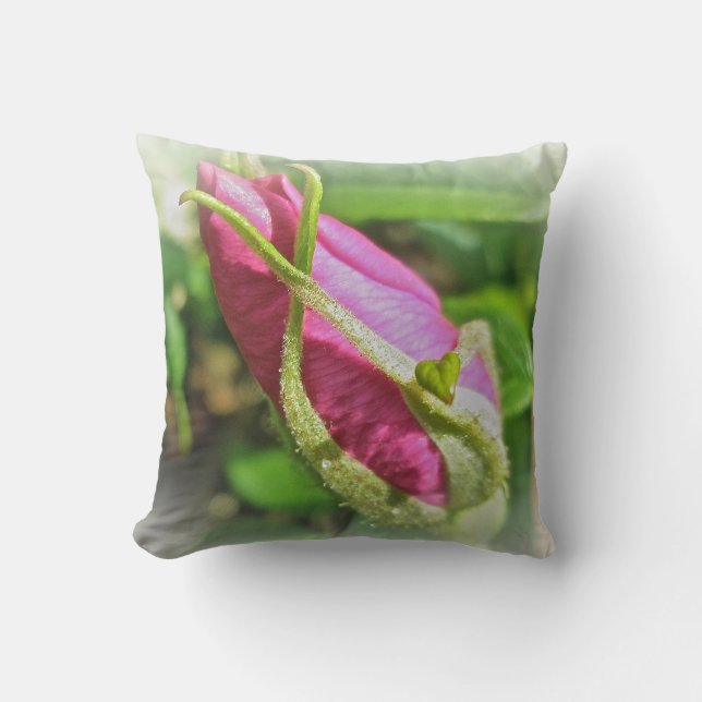 Cojín Decorativo Rosebud, Rosa de playa rosa (Anverso)