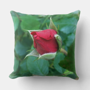 Cojín Decorativo rosebudo rojo