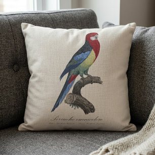 Cojín Decorativo rosella oriental o perico Platycercus eximius