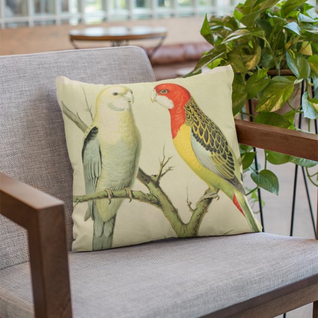 COJÍN DECORATIVO ROSELLA PARAKEETS (Subido por el creador)