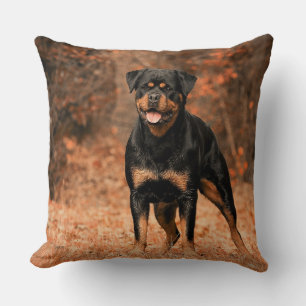 Cojín decorativo Rottweiler