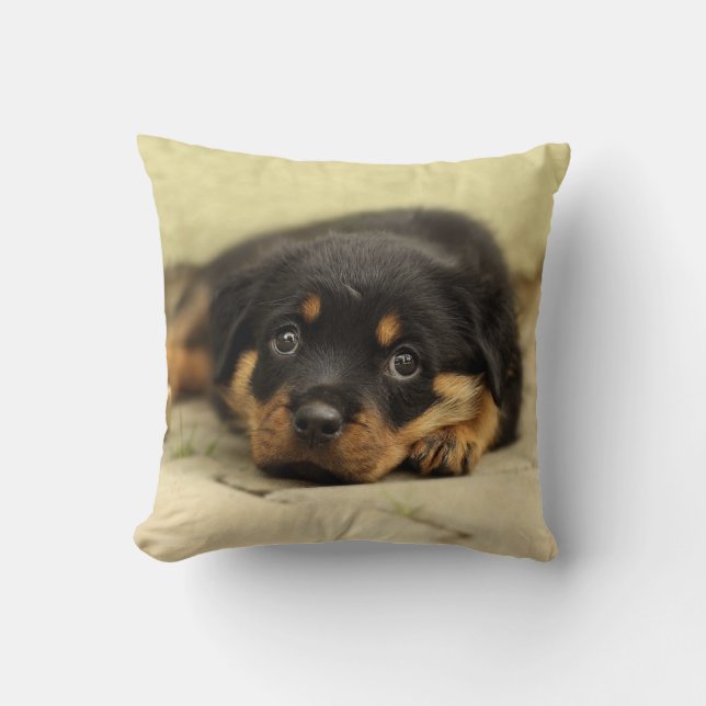 Cojín Decorativo Rottweiler20150901 (Anverso)