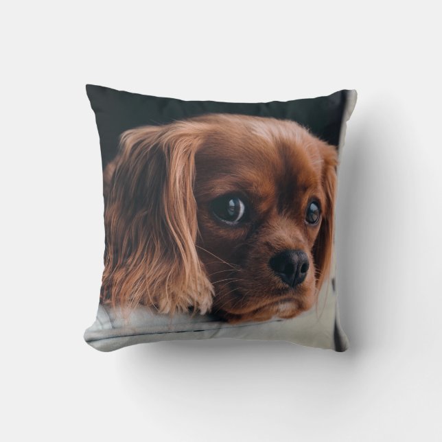 Cojín Decorativo Ruby Cavalier King Charles Spaniel Dog (Anverso)