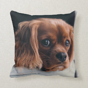 Cojín Decorativo Ruby Cavalier King Charles Spaniel Dog
