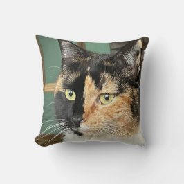 Cojín Decorativo Ruby el Tortie y el White de seis años