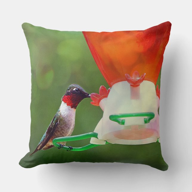 Cojín Decorativo Ruby Throed Hummingbird (Anverso)