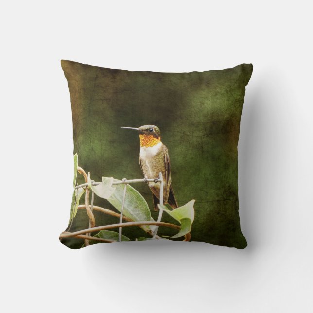 Cojín Decorativo Ruby Throed Hummingbird (Anverso)